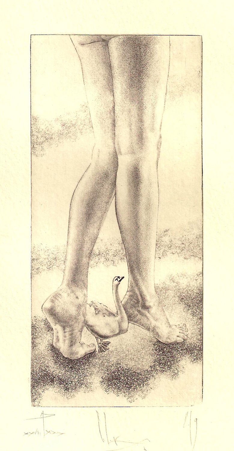 Leda & Swan